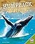 Humpback Whale (Back from Near Extinction)