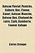 Bateau Fluvial: Gabare, Pirogue, Canoe, Flute, Peniche, Bac, Bateau-Mouche, Bateau de Lough Lene, Bateau-Bus, Peniches Ric's Art Boat
