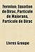 Fermion: Lepton, Quark, Electron, Positron, Muon, Strangelet, Equation de Dirac, Diffusion Profondement Inelastique, Loi de Koi
