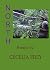North: Poems by Cecelia Frey