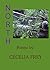 North: Poems by Cecelia Frey
