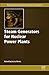 Steam Generators for Nuclear Power Plants (Woodhead Publishing Series in Energy)