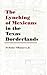 The Lynching of Mexicans in the Texas Borderlands by Nicholas Villanueva Jr.
