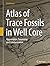 Atlas of Trace Fossils in W...
