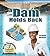 A Dam Holds Back (Be an Engineer! Designing to Solve Problems)