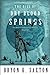 The RISE of Dry Blood Springs (Dry Blood Springs Series)