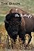 The Bison and the Butterfly