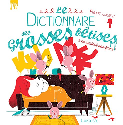 Le dictionnaire des grosses bêtises (Hardcover)