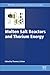 Molten Salt Reactors and Thorium Energy (Woodhead Publishing Series in Energy)