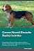 German Hound (Deutsche Brac...