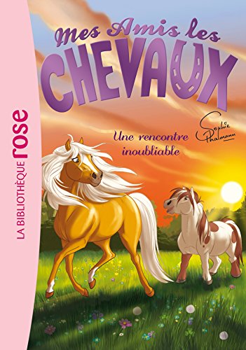 Mes amis les chevaux 06 - Une rencontre inoubliable (Mes amis les chevaux - Sophie Thalmann (6)) (French Edition)