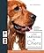 Petit Larousse des chiens (French Edition)