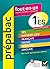 Prépabac Tout-en-un 1re ES:...