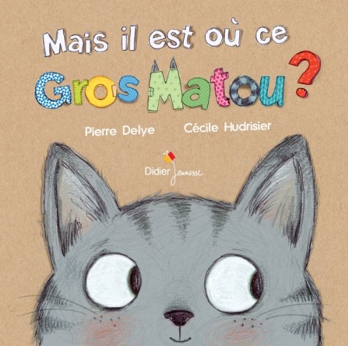 Mais il est où ce gros matou ? (French Edition)