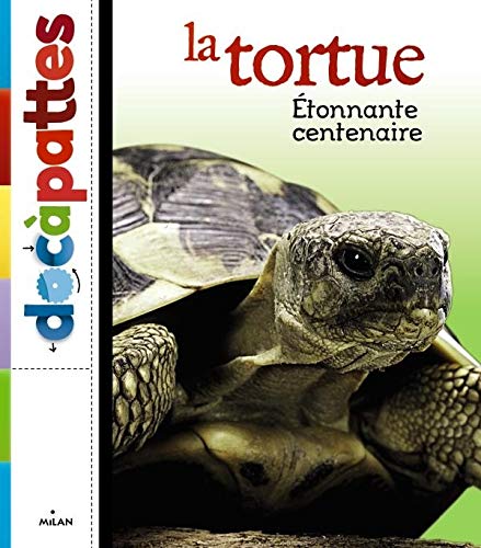 La tortue, étonnante centenaire (Docàpattes)