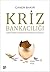 Kriz Bankaciligi: Kuresel Ve Finansal Krizlerde Banka Davranislari Ve Dayaniklilik (Turkish Edition)