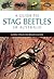 A Guide to Stag Beetles of Australia