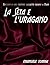 La seta e l' uragano: Racconti di uno scrittore maledetto italiano a Miami (Italian Edition)
