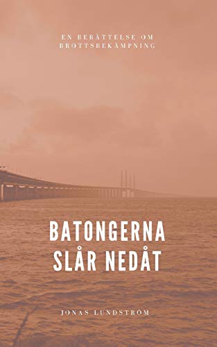 Batongerna slår nedåt: En berättelse om brottsbekämpning (Swedish Edition)