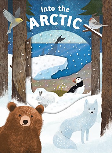 Look Closer: Into the Arctic: [With Transparent Pages] (Board Book)
