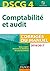 Comptabilité et audit DSCG ...