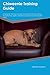 Chiweenie Training Guide Chiweenie Training Includes: Chiweenie Tricks, Socializing, Housetraining, Agility, Obedience, Behavioral Training and More