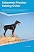 Doberman Pinscher Training Guide Doberman Pinscher Training I... by Brian Hamilton