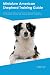 Miniature American Shepherd...