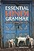 Essential Hindi Grammar: With Examples from Modern Hindi Literature