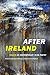 Post-Ireland? Essays on Contemporary Irish Poetry