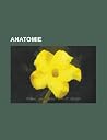 Anatomie: Organe, Dimorphisme Sexuel, Anatomie Comparee, Cavite Nasale, Referentiel de Talairach, Vibrisse, Pie-Mere, Disproportion Foeto-Pelvienne, Visible Human Project, ARC Branchial, Crete Sagittale, Systeme Tegumentaire