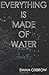 Everything is Made of Water