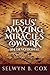 Jesus' Amazing Miracles (JAMS) @ Work 365 Day Devotional: My Story/My Song