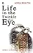 Life in the Twinkle of an E...