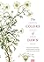 The Colors of Dawn: Twentieth-Century Korean Poetry (Mānoa: A Pacific Journal of International Writing)