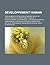 Developpement Humain: Tiers Monde, Pays En Developpement, Indice de Perception de La Corruption, Freins Au Developpement, Gouvernance, Liste Des Pays Par Idh, Variations de L'Idh Depuis 1975, Pays Developpes, Dette Du Tiers Monde
