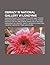Obrazy W National Gallery W...