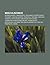 Wiechlinowce: Bromeliowate,...