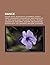 Dance: Albumy Dance, Basshu...