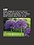 LISP: Scheme, Common LISP, ...