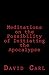 Meditation on the Possibility of Initiating the Apocalypse by David Carl