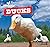 Ducks (Farmyard Friends)