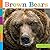 Brown Bears (Seedlings)
