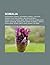 Somalia: Etnografia Somalii...