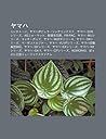 Yamaha: Erekut N, Yamahapopyur Songukontesuto, Yamaha Eosshir Zu, Xgf Matto, X N Tang B N XI Ng Di, FM-Pac, Yamaha Mushir Zu, Kokk Poppu