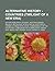 Alternative History - Countries (Twilight of a New Era): Afghan Democratic Republic, Austria-Hungary, Belarus, British East Africa, British West Africa, Ch Sen, Chinese State Union, Commonwealth of the Philippines, Confederation of Arab States, Danzig