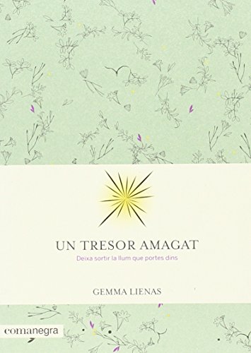 Un tresor amagat (Paperback)