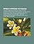 Prvi Srpski Ustanak: Spisak Znamenitih Li Nosti Prvog Srpskog Ustanka, Hronologija Prvog Srpskog Ustanka, Plan O Preseljenju Srba U Rusiju