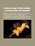 Phineas and Ferb Fanon - Ch...