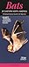 Bats of Eastern North America: A Comprehensive Guide to All Species